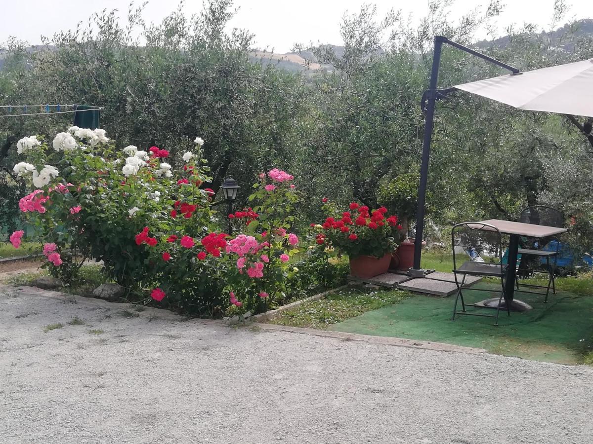 B&B Ripalta Sogliano al Rubicone Extérieur photo