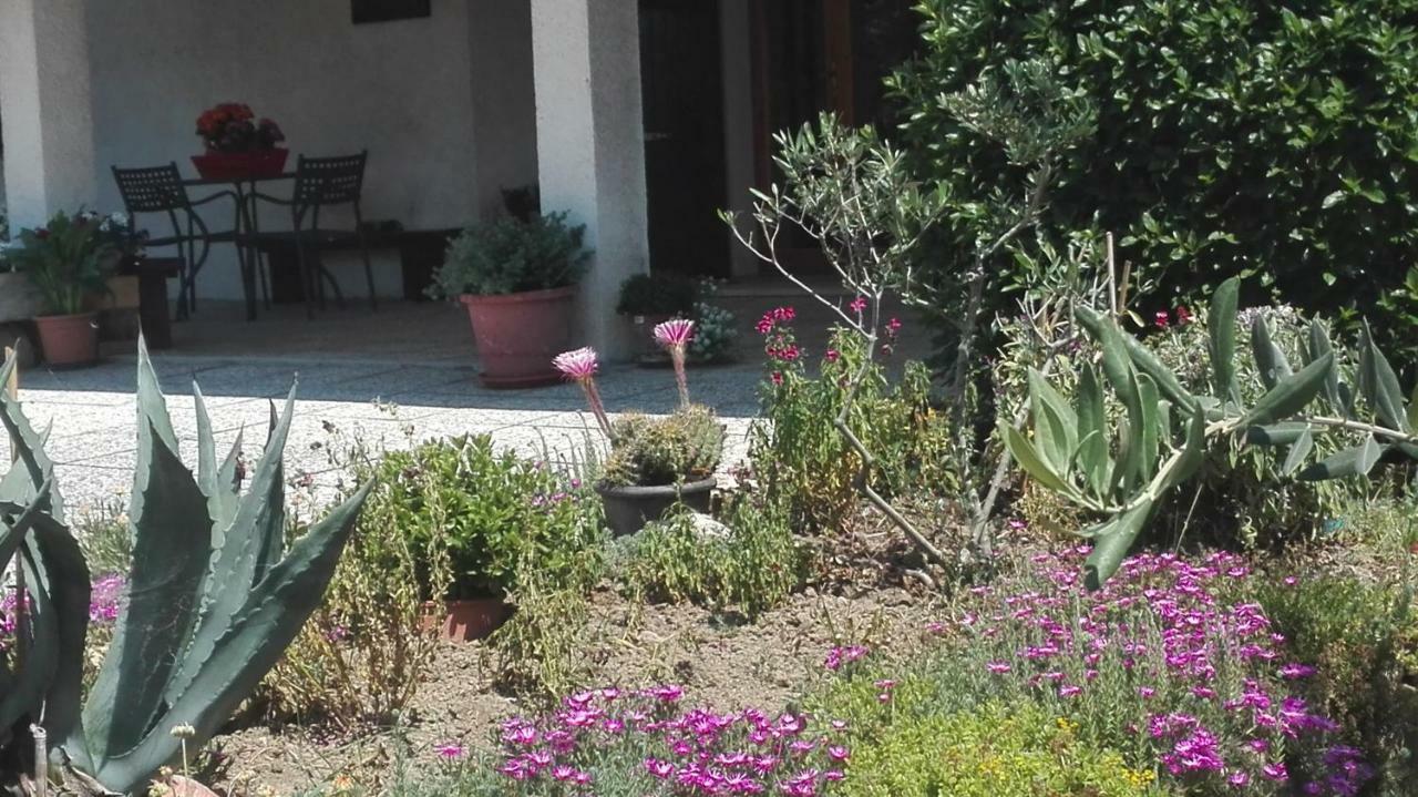 B&B Ripalta Sogliano al Rubicone Extérieur photo